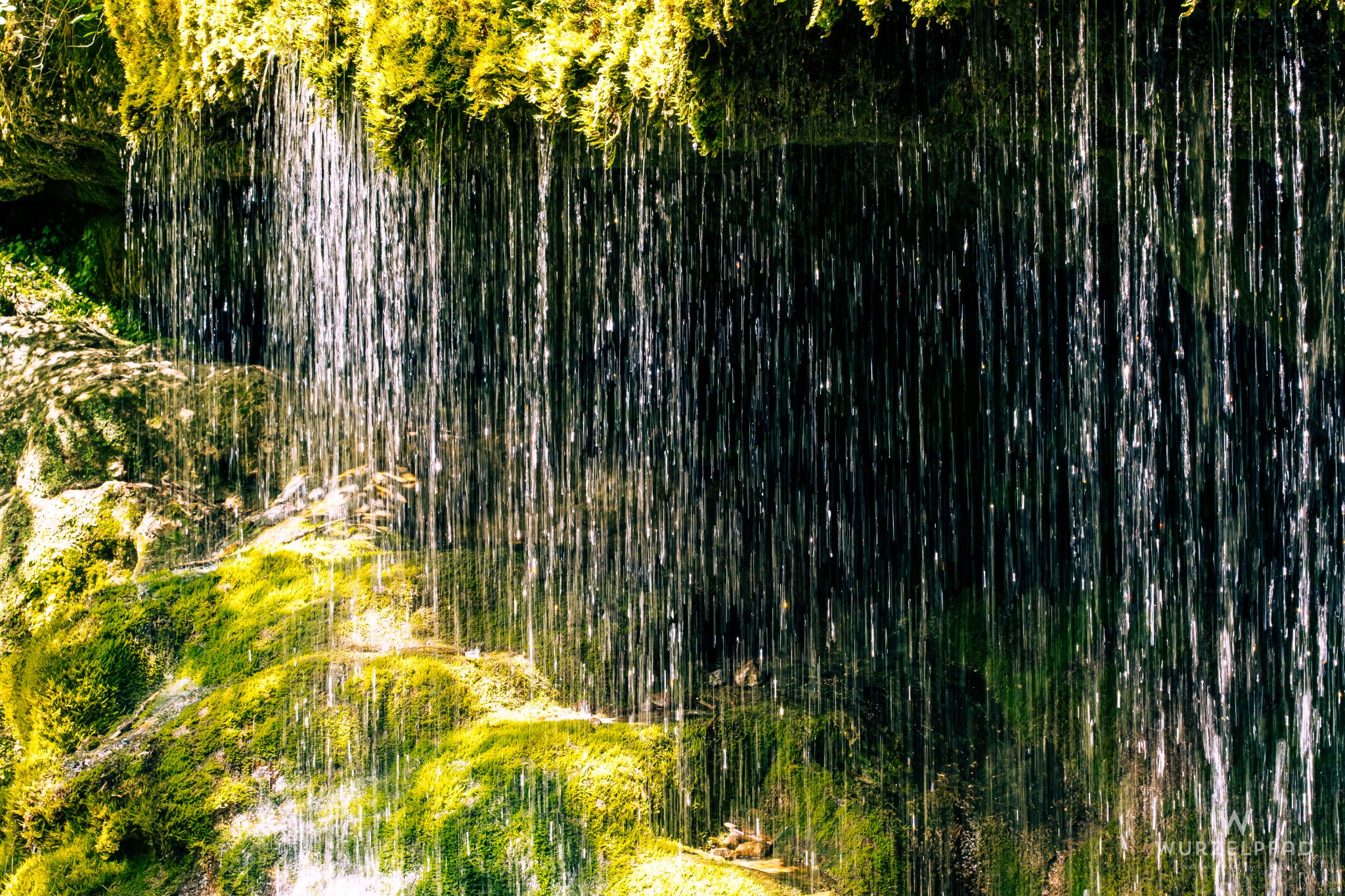 Wasserschleier oberhalb der Schlucht